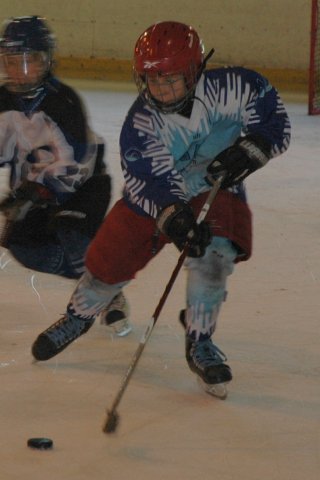 Cleon (41)